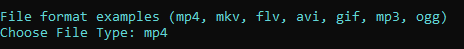 Choose file type in program